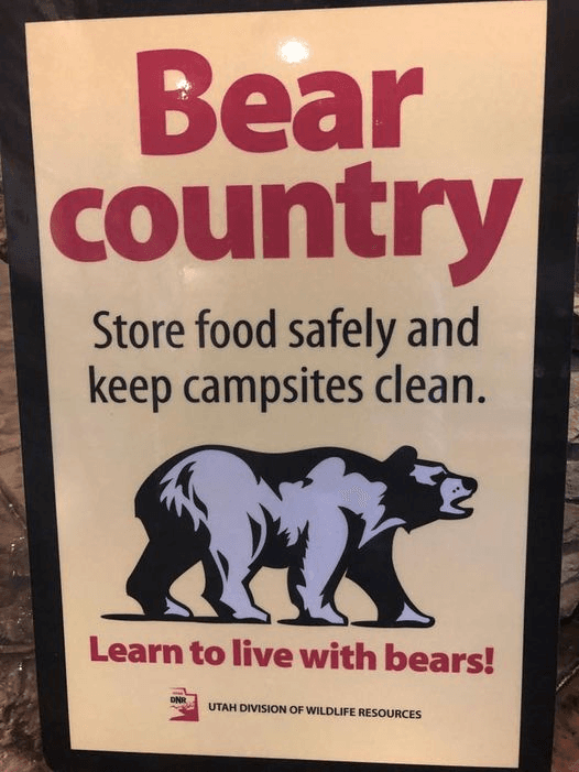 Multiple Reports Of Bears Breaking Into Campsites/Trailers