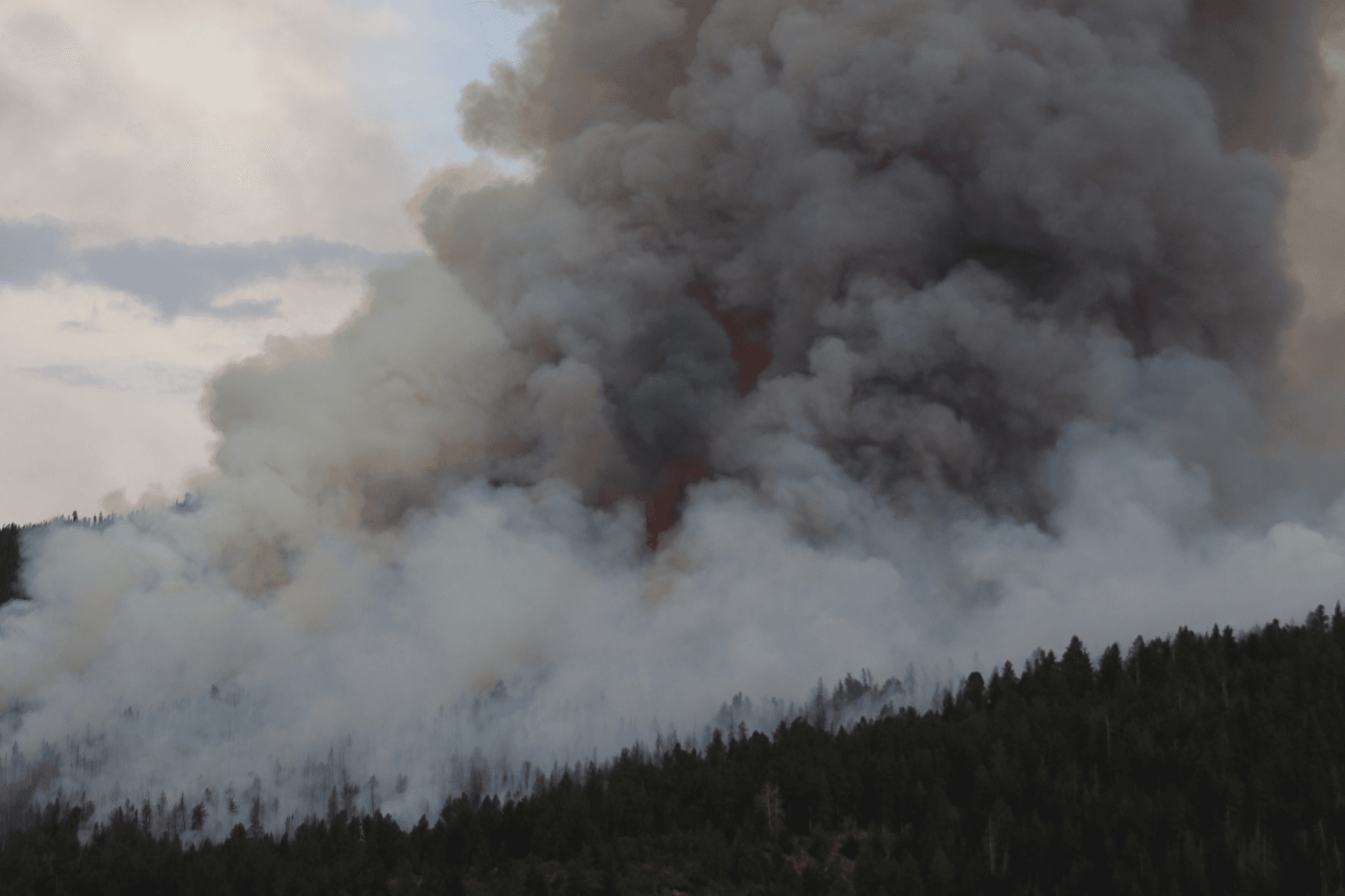 Closures Reinstated For Road And Trails Near Speirs Fire