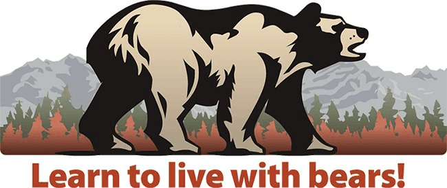 Aggressive Bear Caught; Stay ‘Bear Aware’ When In The Outdoors