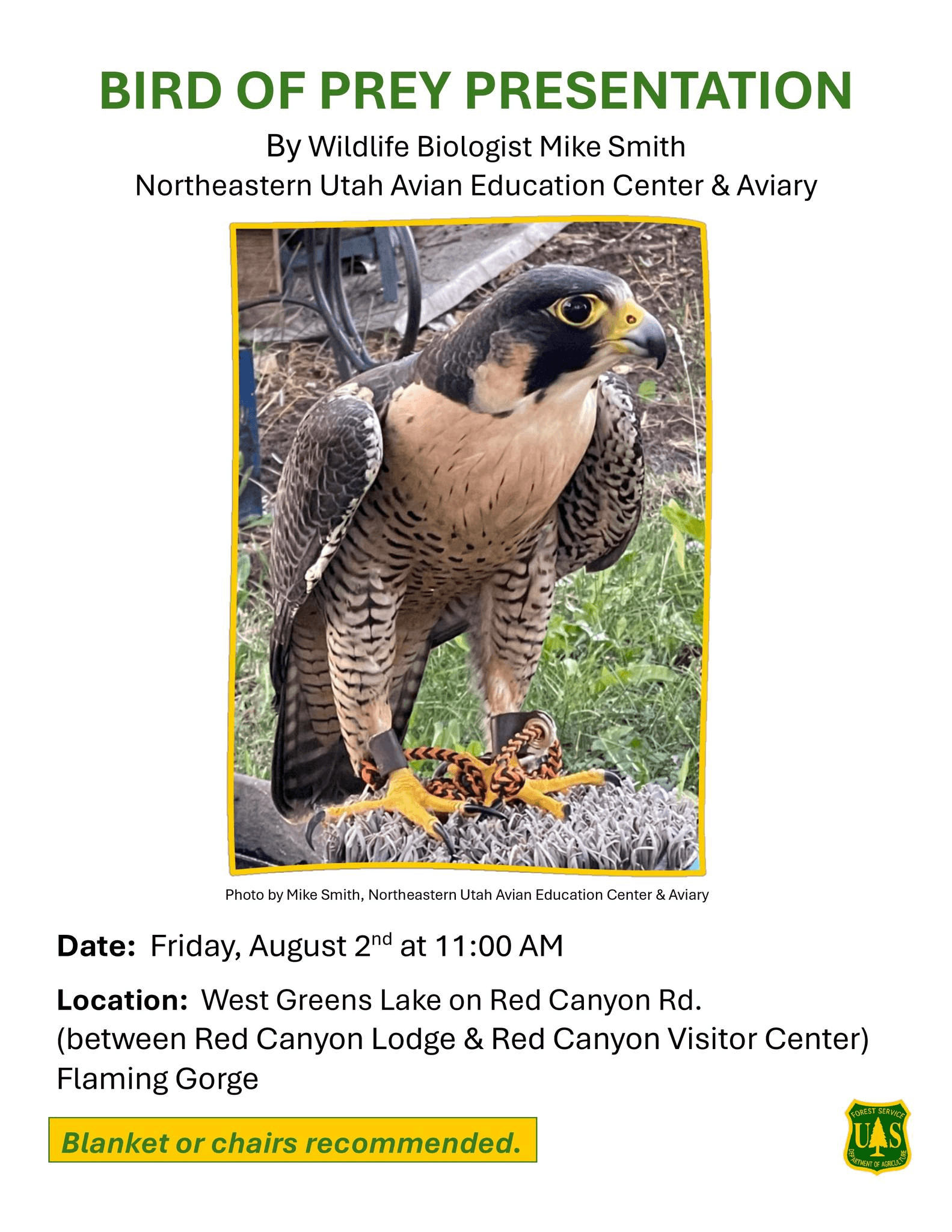 Special Bird Of Prey Presentation Tomorrow On Red Canyon Road