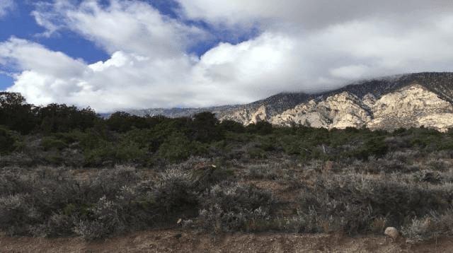 BLM Conducting Fuels Reduction Treatment In Northeastern Utah