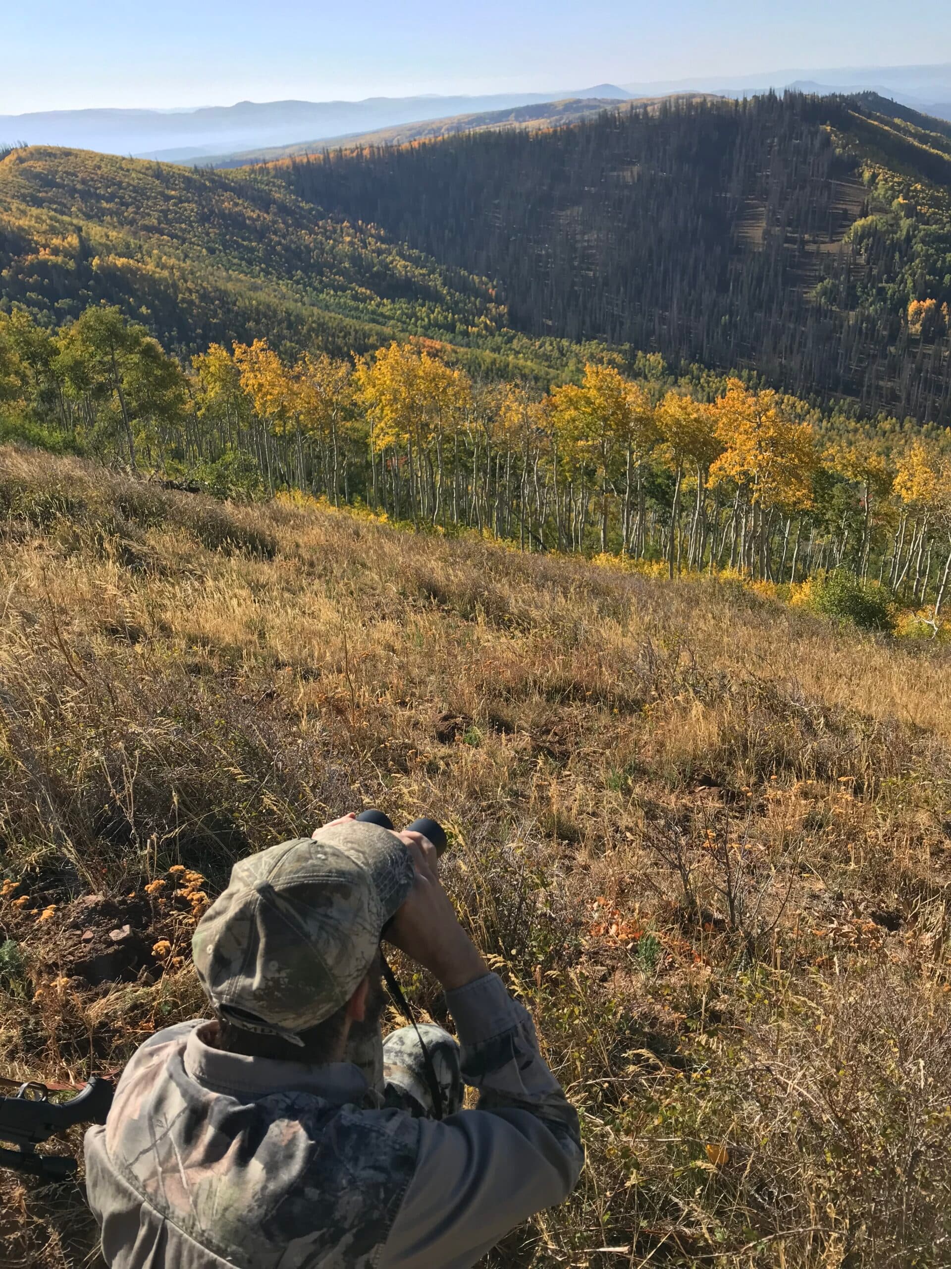 DWR: Changes To Big Game Hunting To Know Before Heading Out Into The Field