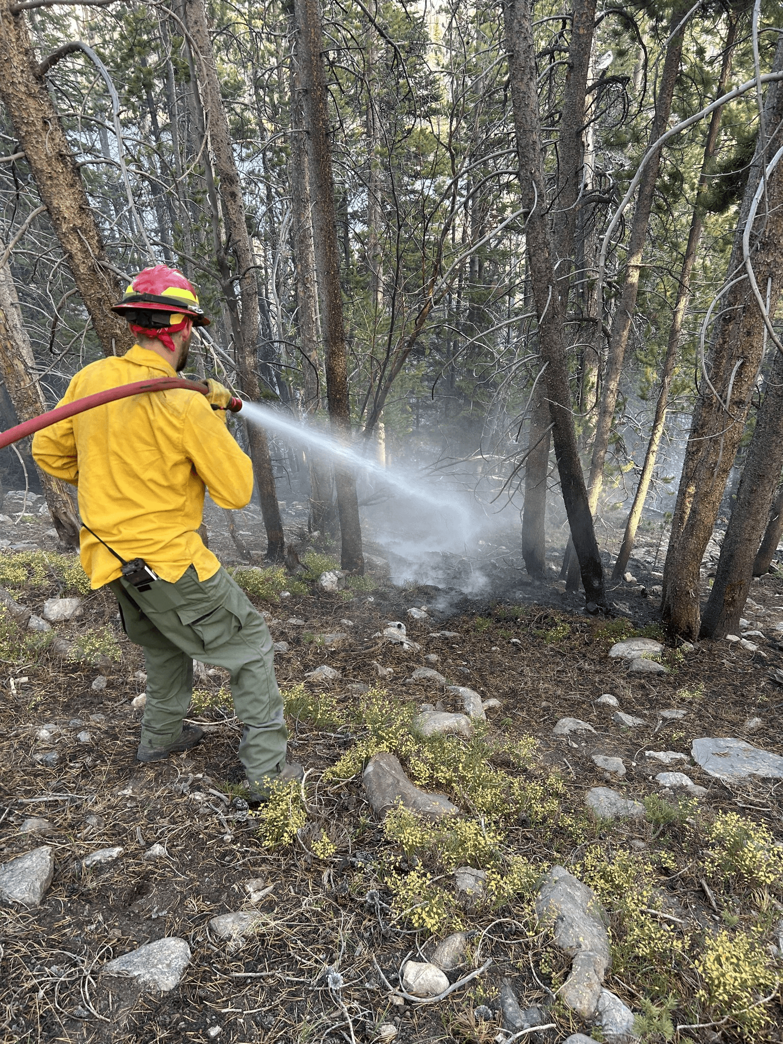 Elizabeth Ridge Fire 10 Percent Contained