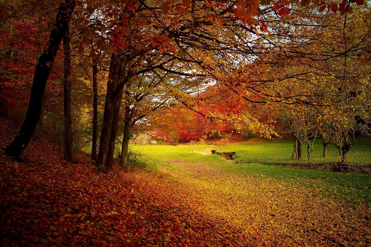 Colorado State Patrol Has Safety Message That Applies To All “Leaf Peepers”