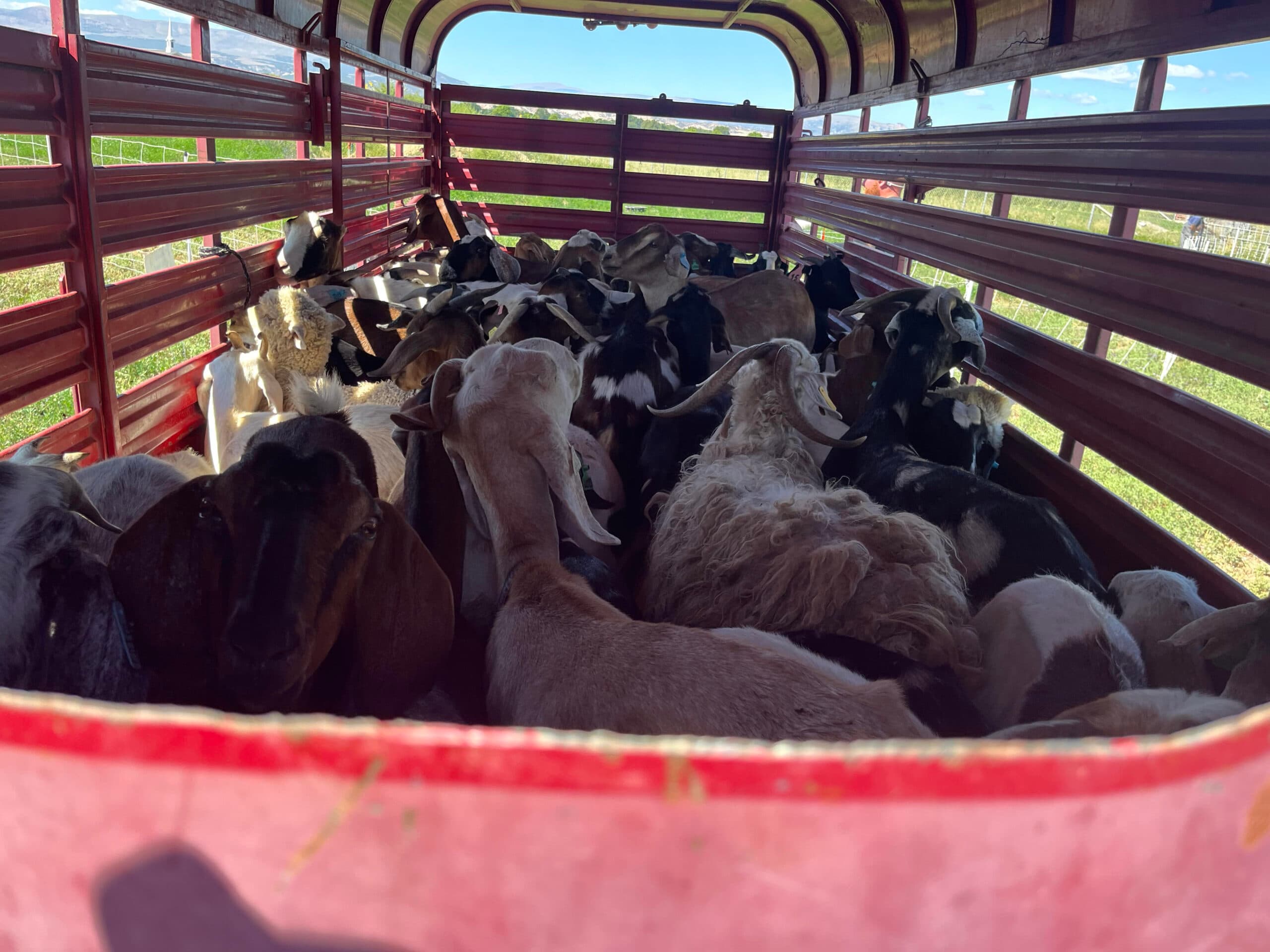 Terra Academy Hires Hungry Professionals For Back Field Project