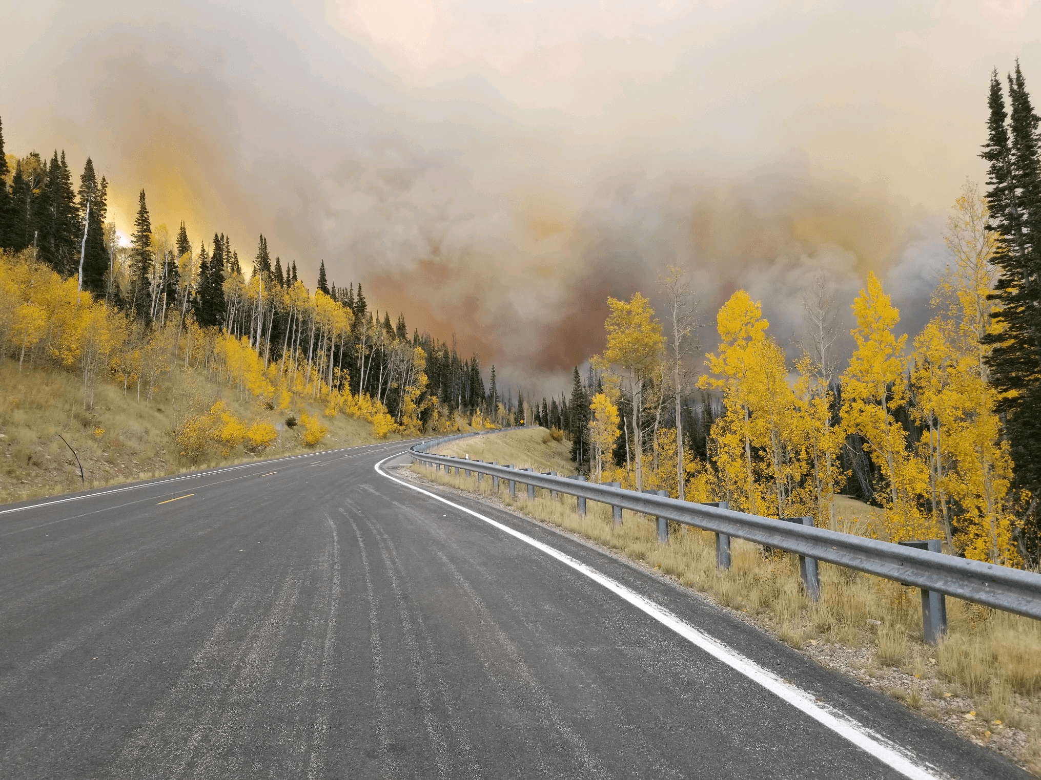 Evacuations Ordered Due To Yellow Lake Fire