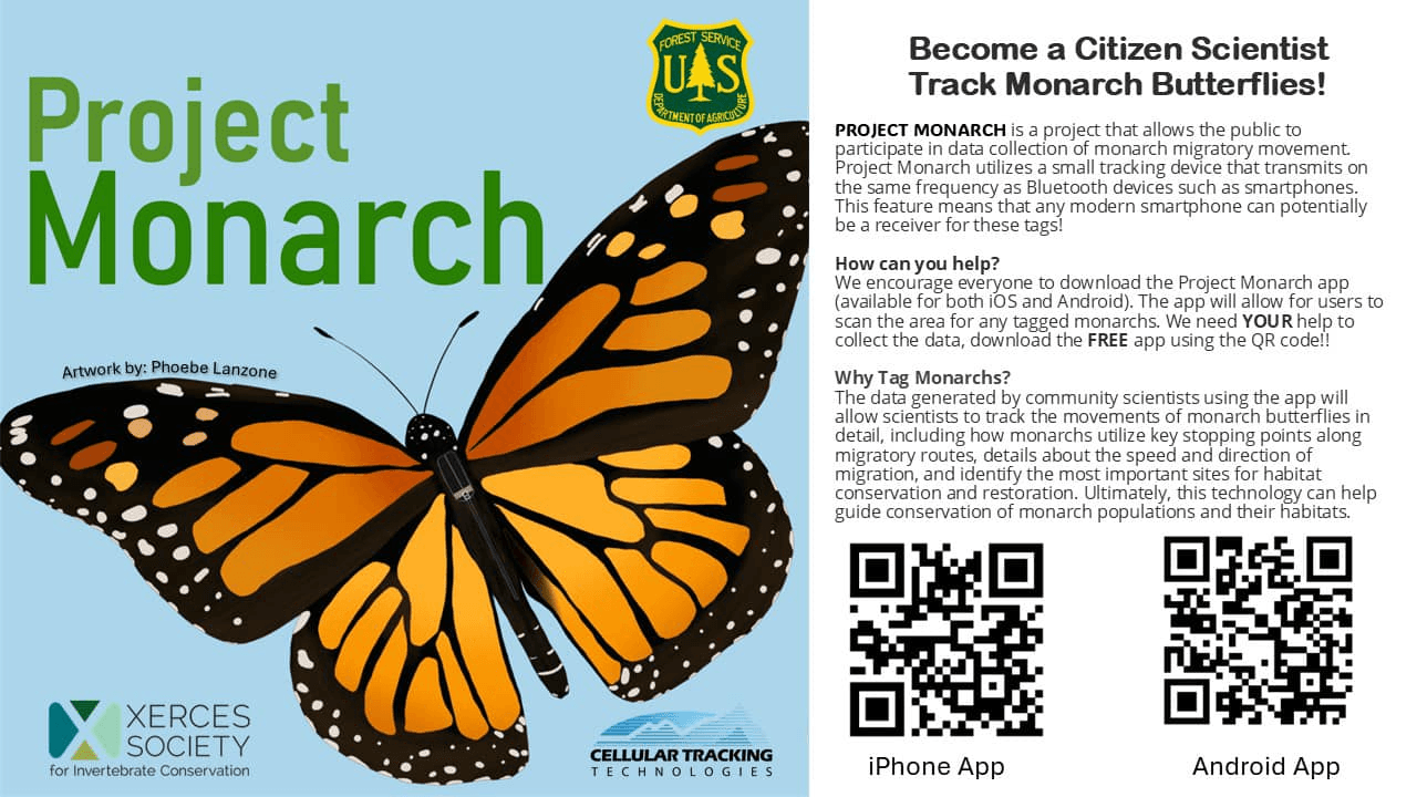 Become A Local Citizen Scientist To Track Monarch Butterflies