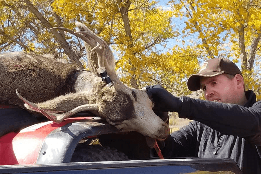 DWR: Hunters Stop At Check Station To Test Deer For Chronic Wasting Disease