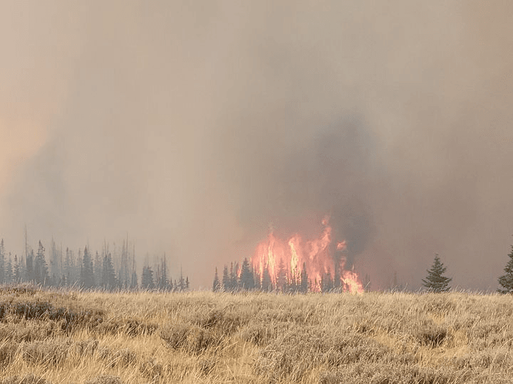 Evacuations On West Fork Of Duchesne Drainage Due To Yellow Lake Fire