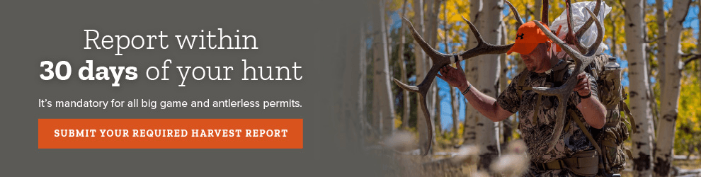 DWR: Remember To Report Your Game Harvest