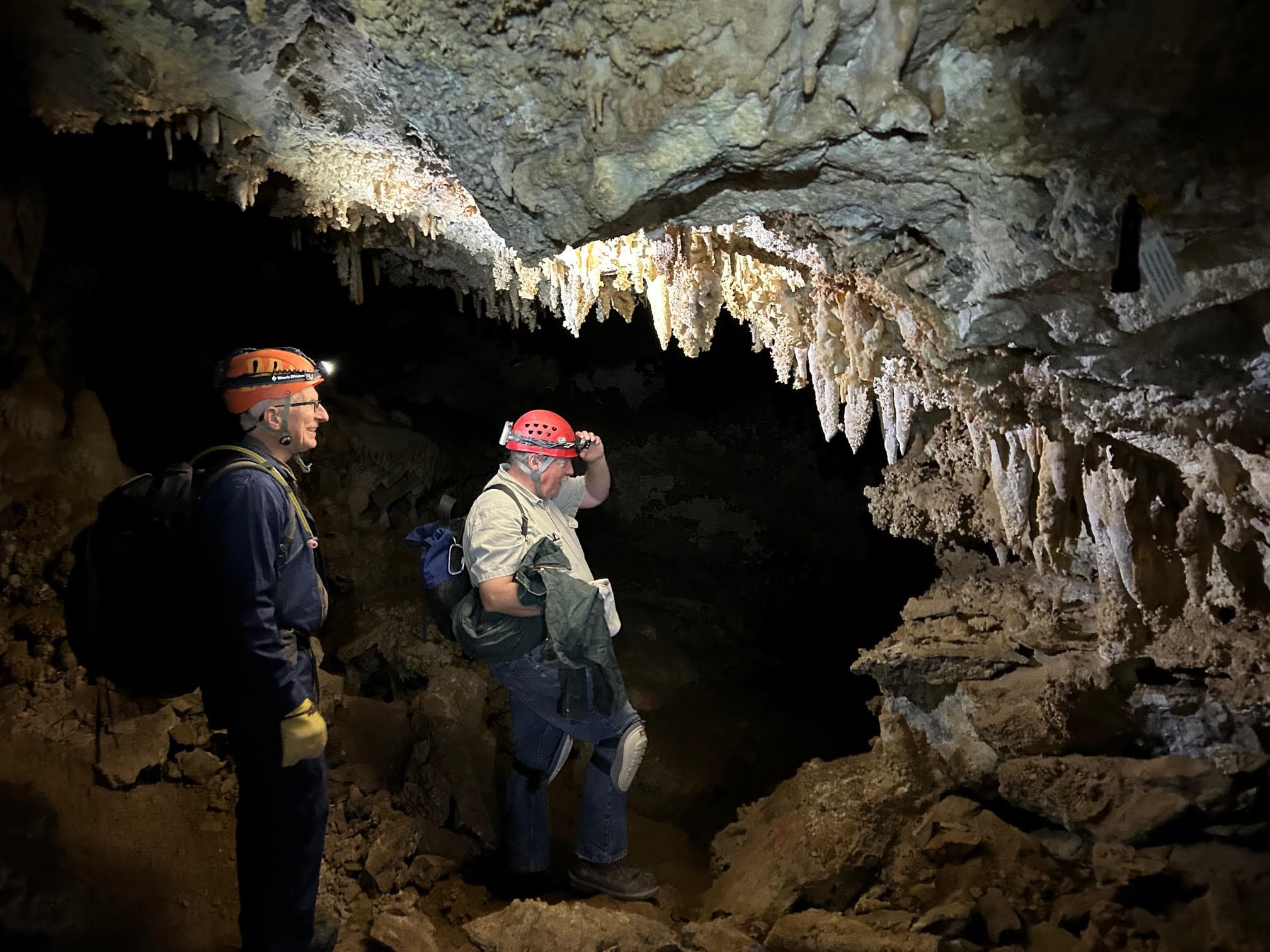 Ice Age Fox Recovered From Whiterocks Cave In Uinta Mountains