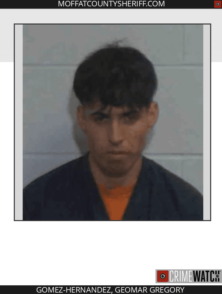 Pursuit Of Fuel Theft Suspect Results In Deputies Injured, Suspect Apprehended