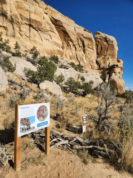 McConkie Ranch Utilizes Grant Funding To Protect Rock Imagery
