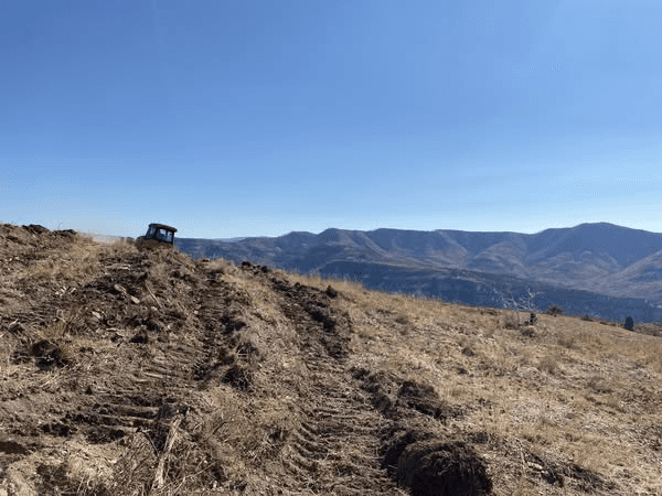 Wildfire Damage to Sheep Creek Prompts Deer And Elk Range Habitat Project