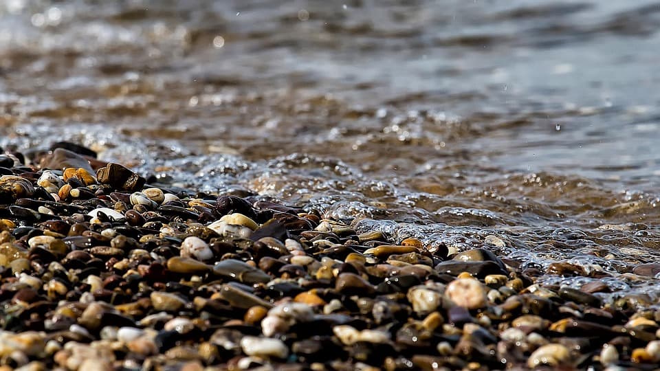 Federal Grants Focused On Habitat Improvements Across Colorado River Basin