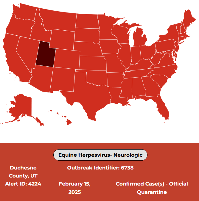 Equine Herpesvirus Disease Outbreak In Duchesne County