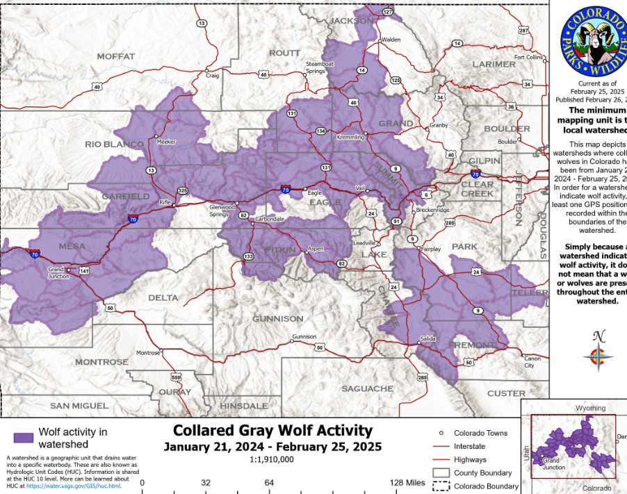 Collared Gray Wolf Activity Report For February