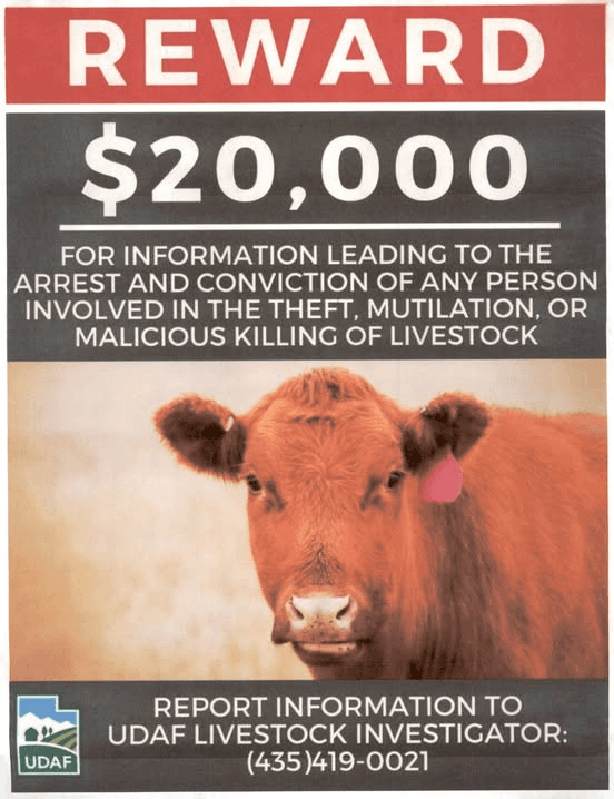 Local Cattlemen’s Associations Urge Public To Report Any Suspicious Behavior
