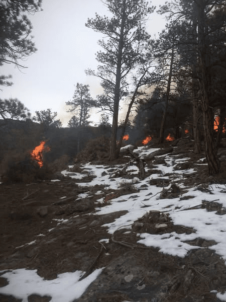 Ashley National Forest Burning Slash Piles In Dry Fork And Brownie Canyon Area