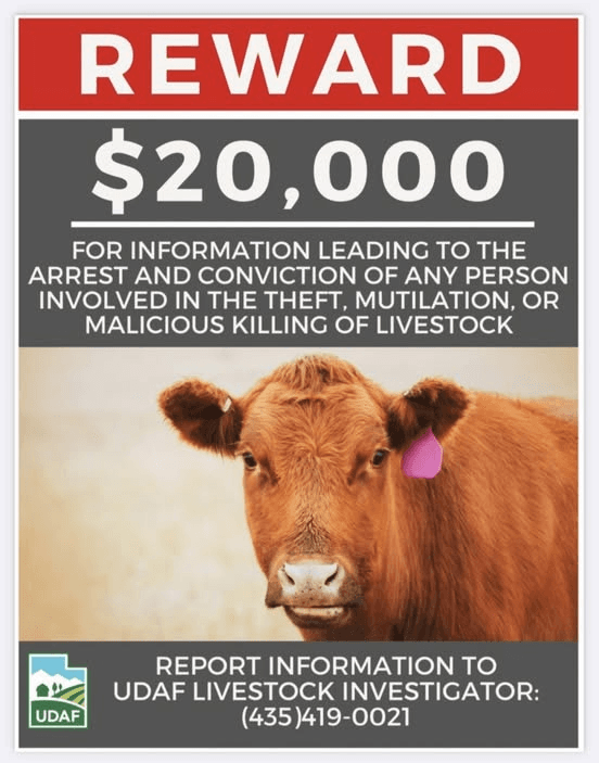 Reward Offered As Authorities Investigate Livestock Theft And Malicious Killings