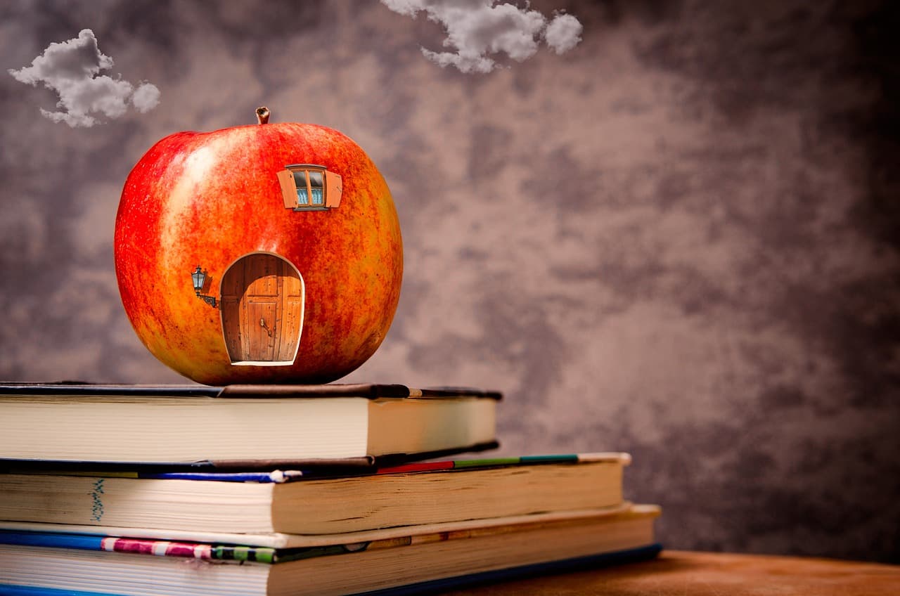 Donations Accepted To Fund Visa Renewals Of Dual Language Immersion Teachers