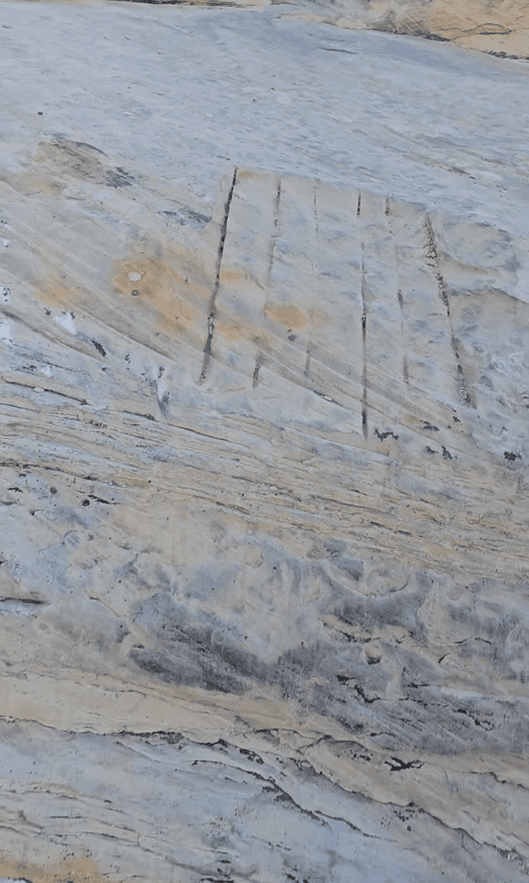 Reward Offered For Information On Doc’s Beach Vandalism