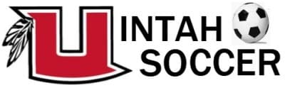 Ute Boys Soccer Team Scores Overtime Goal for 4A Tournament Win