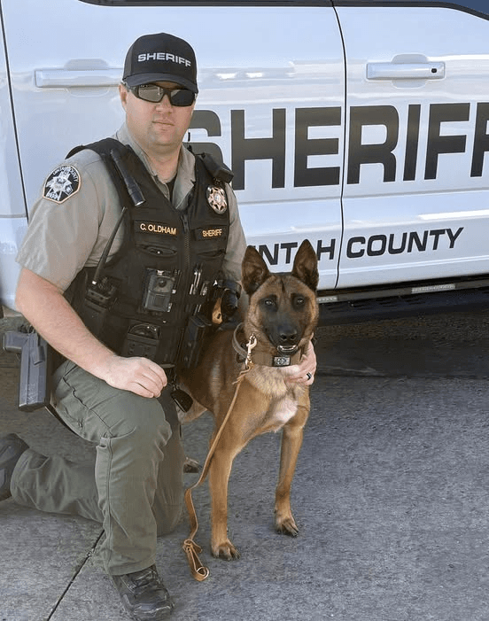 Welcome K9 Murph And K9 Sarik, The Newest Local K9 Officer Recruits