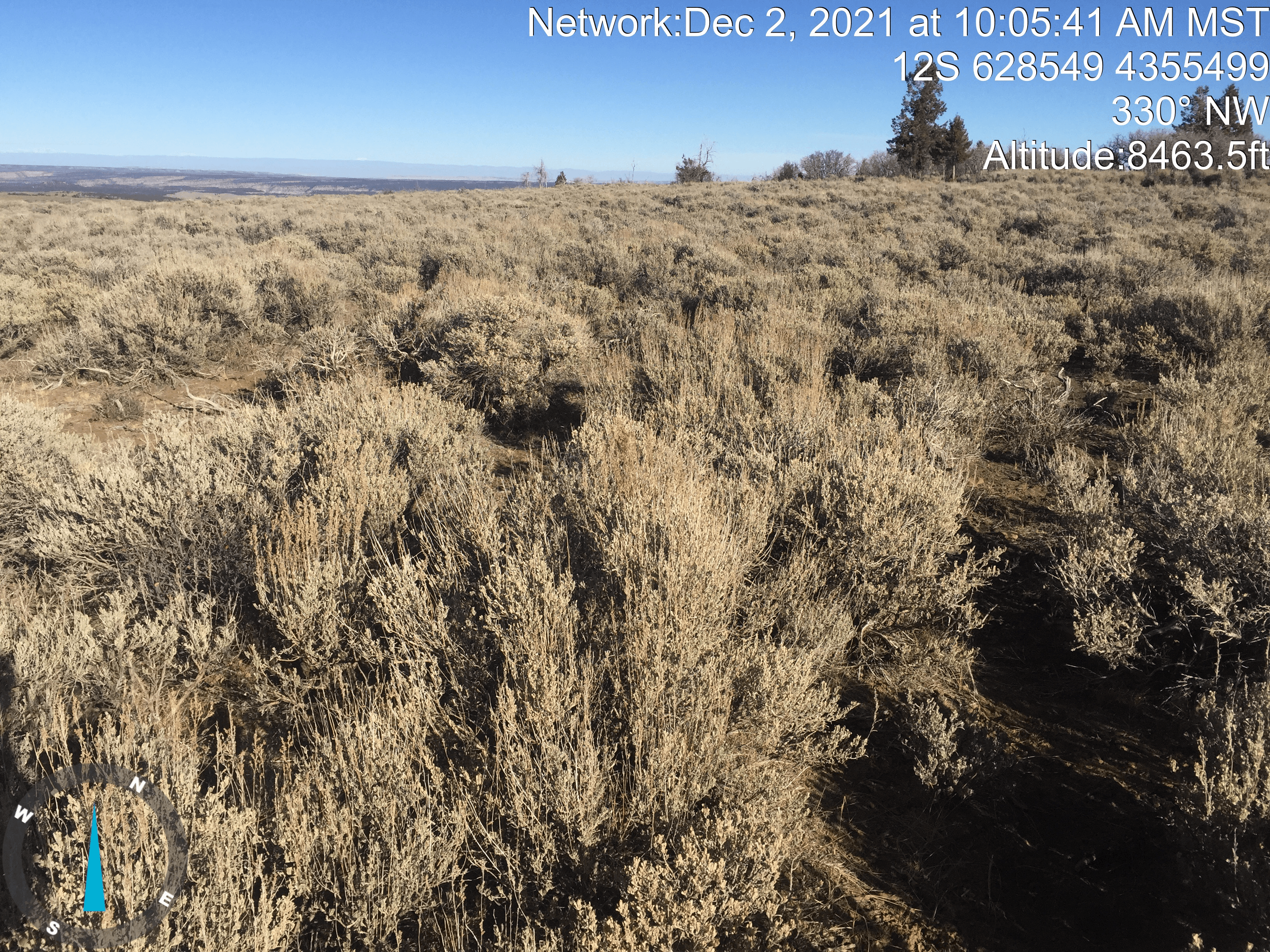 Funding Awarded For Book Cliffs Wildlife Habitat Improvements