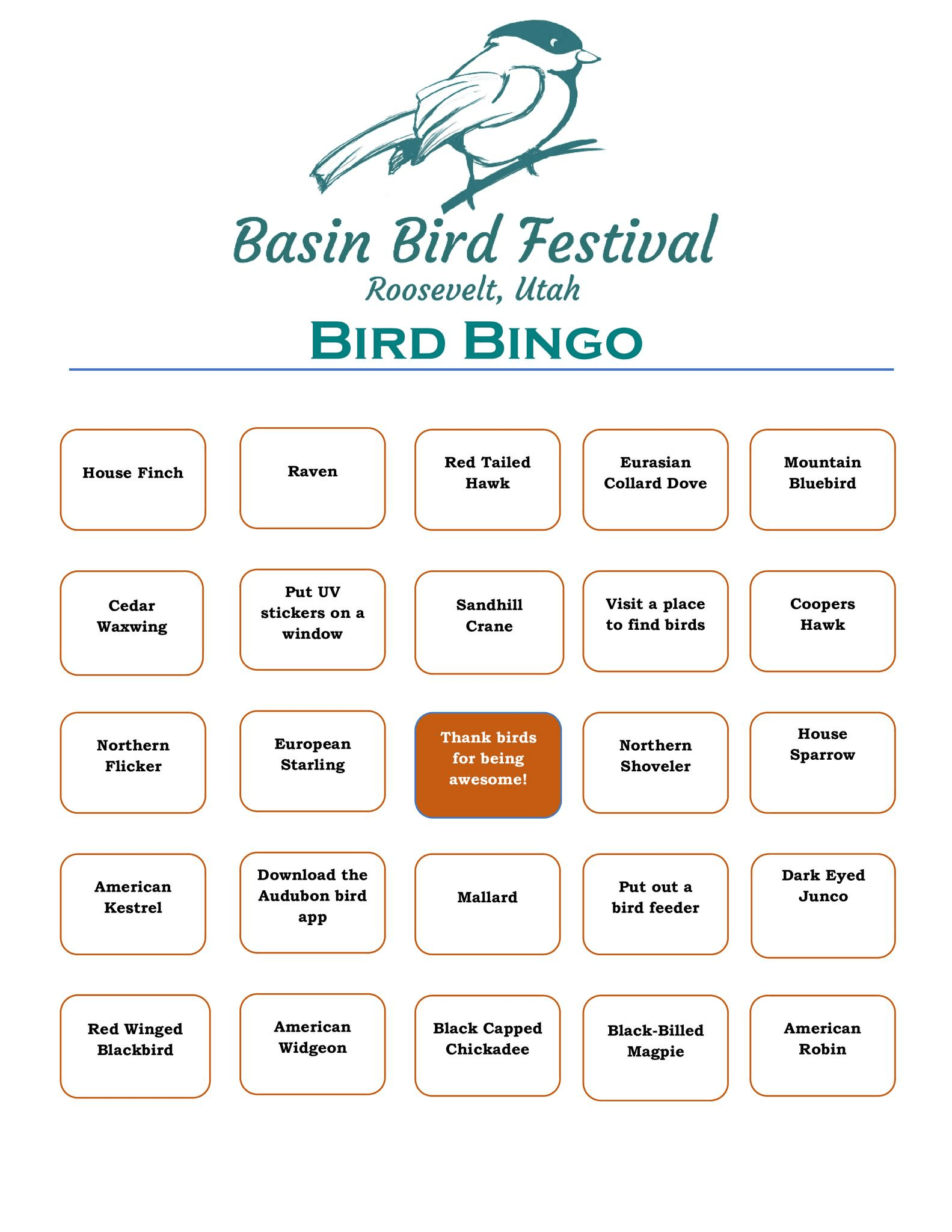 Basin Bird Festival Back And For The Entire Family