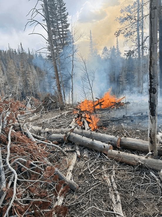 Prescribed Burning Visible From Mirror Lake Highway
