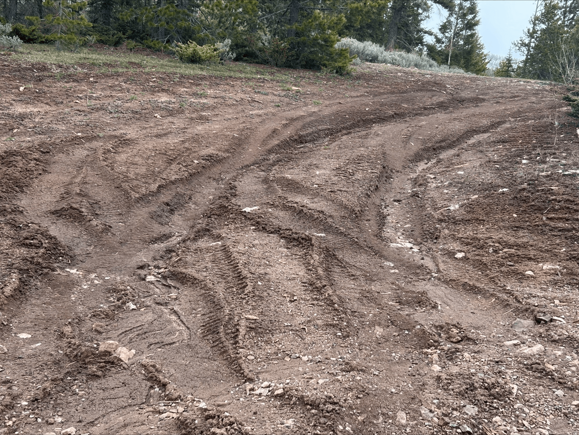 Some Forest Roads Now Open; Some Impassable Due To Snow And Mud