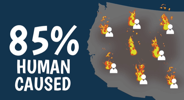 Taking Wildland Fire Prevention Seriously