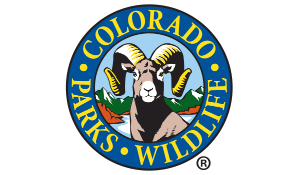 Sixth Wolf In Colorado Confirmed Dead This Year