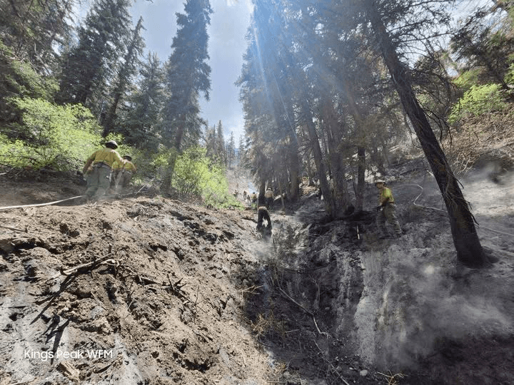 Sterling Fire 100% Contained