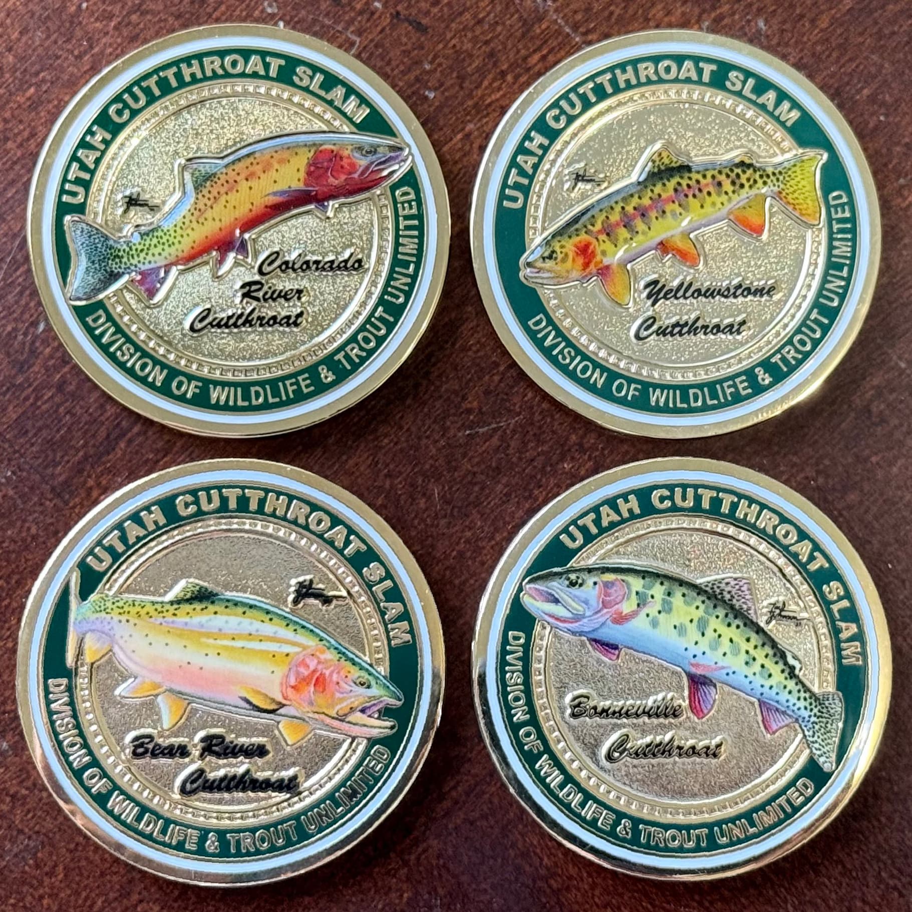 DWR: Cutthroat Slam Releases Newest Medallion