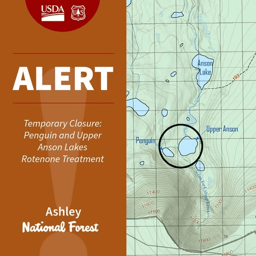 Rotenone Treatment Means Penguin And Upper Anson Lakes Closed 7/15-7/22