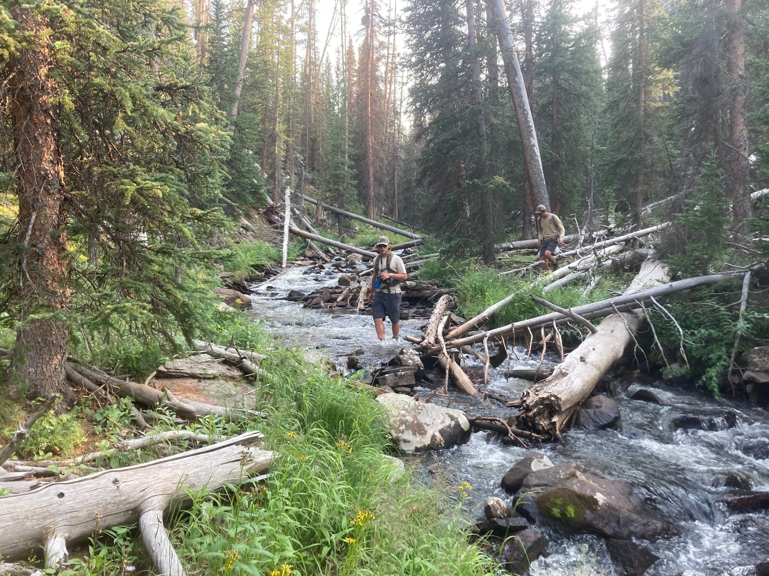 Rotenone Treatments Coming Up In High Uintas