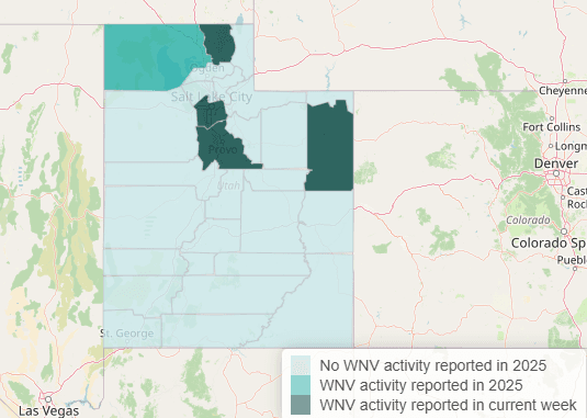 West Nile Virus Reported In Uintah County Mosquito Pools