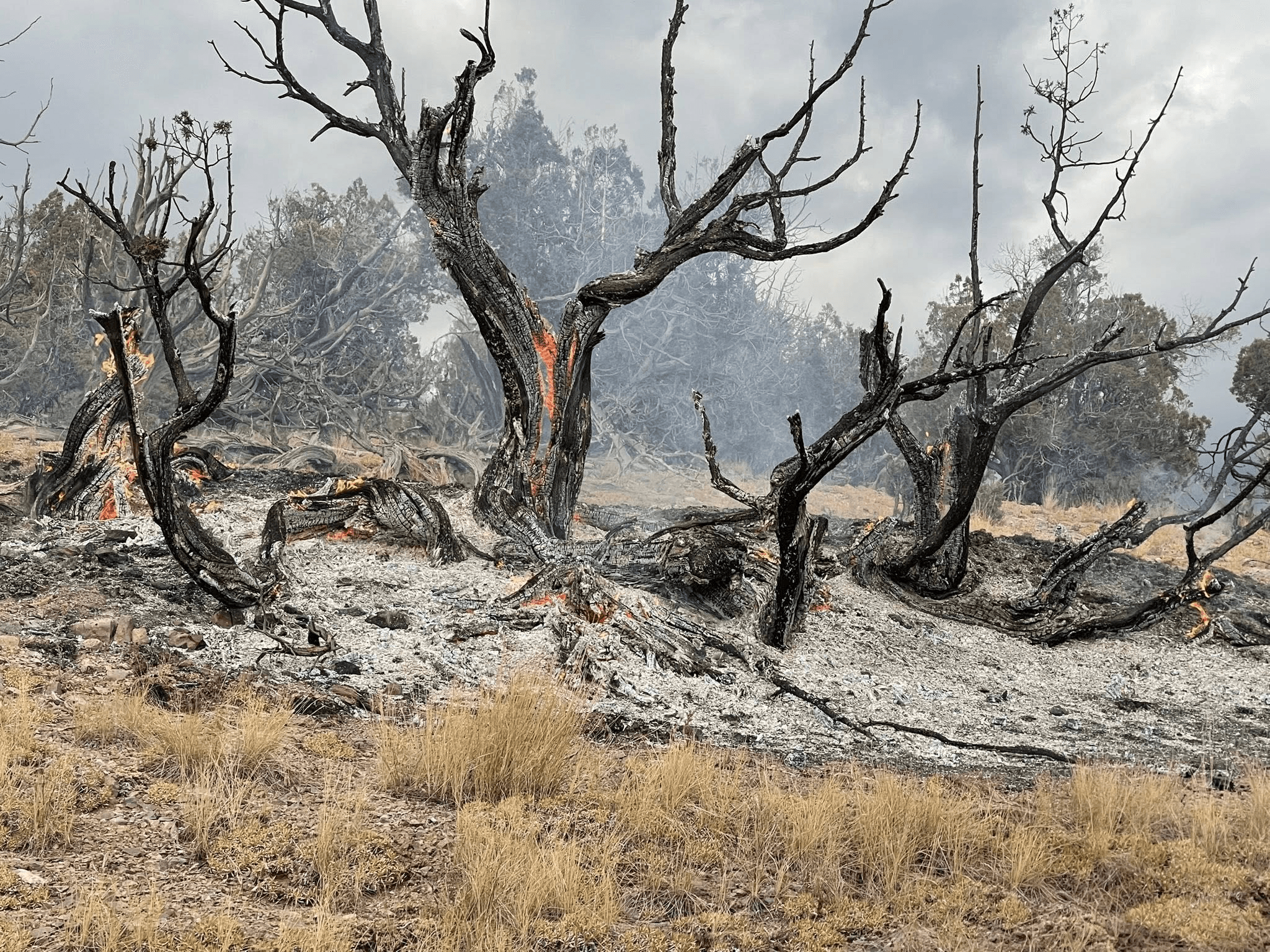 Lightning Strikes Cause 17 Wildfires In Moffat County