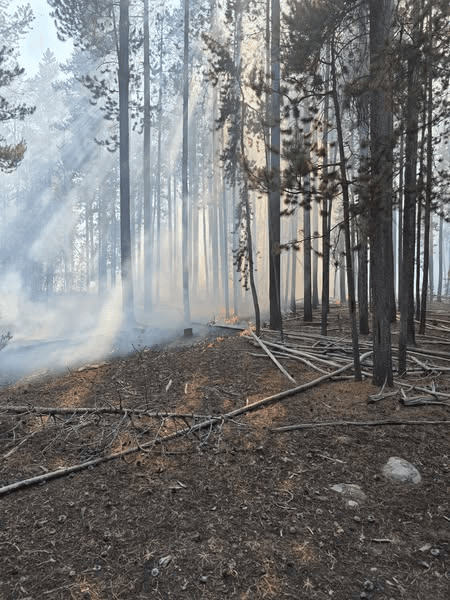 Davis Hollow Fire Prompts Stage 1 Fire Restrictions On Ashley National Forest