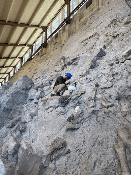 Discoveries At Dinosaur National Monument Highlighted
