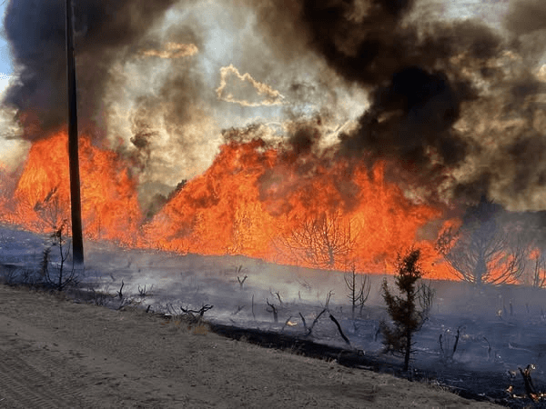 Twelve Fire Closes Road/Campground In Dinosaur National Monument