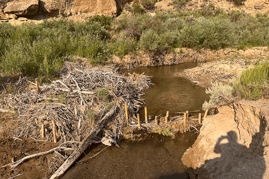 Book Cliffs Watershed Project Complete