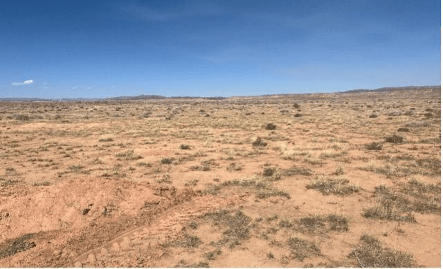 BLM Fighting Invasive Grasses In McCoy Flats Area