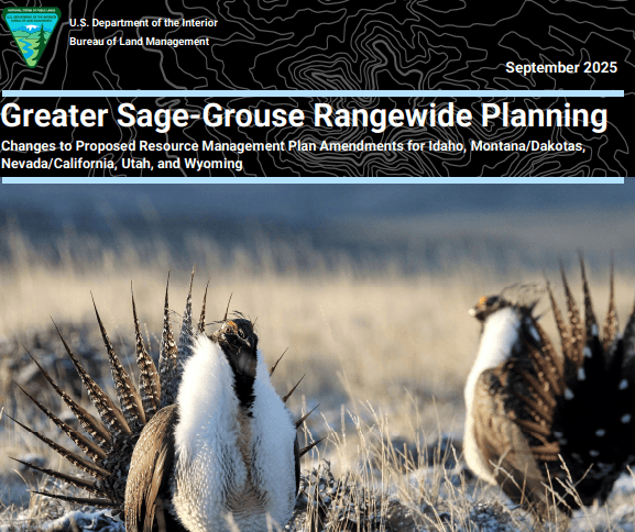 Updated Sage Grouse Rules Proposed Under Trump Administration