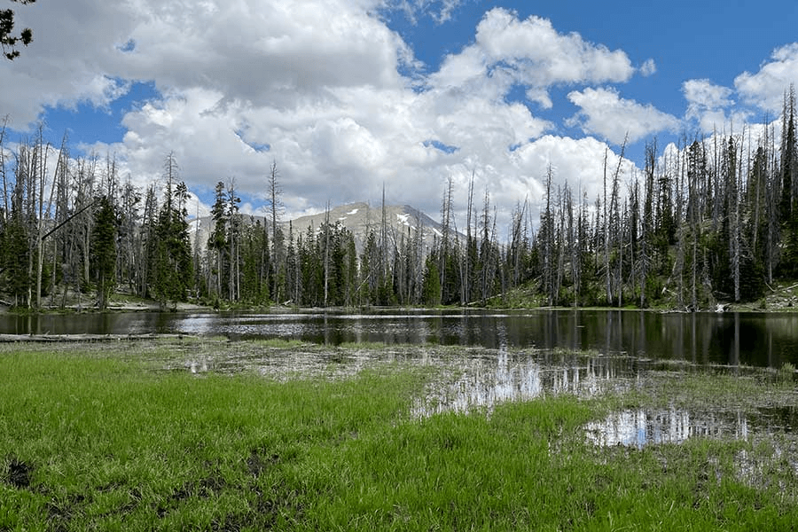 Tips For Fishing The High Uintas