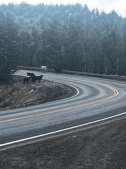 UDOT Announces Additional Project And Reminder For US-191 In Indian Canyon