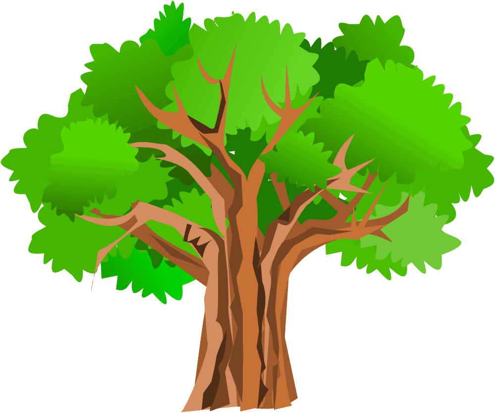 Support Grows For ‘Fix Our Forests Act’