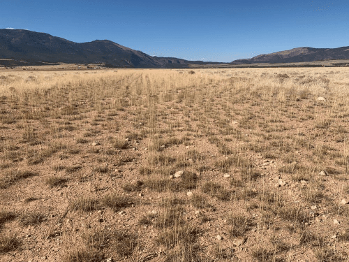Daggett County Airstrip Gets Green Light